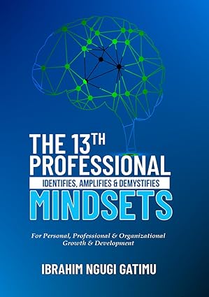 The 13th Professional by Ibrahim Ngugi Gatimu — book cover